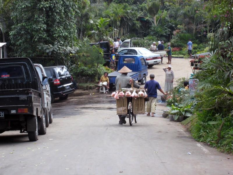 2007 07 14 BALI 011.jpg